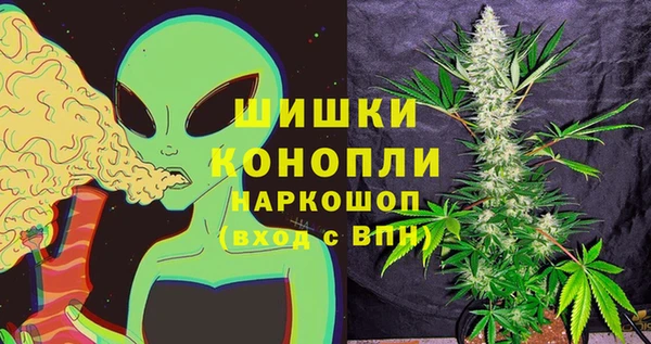 стаф Богородск