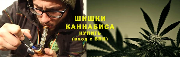 стаф Богородск