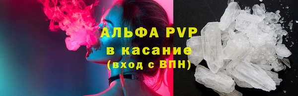 стаф Богородск