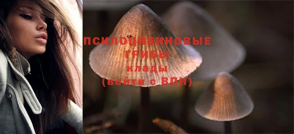 mix Богданович