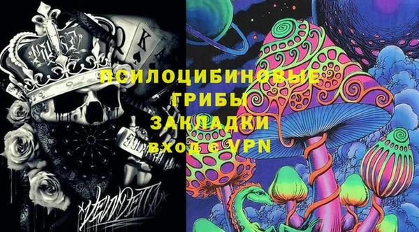 стаф Богородск