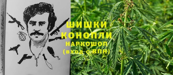 стаф Богородск