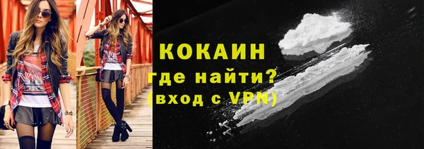 стаф Богородск