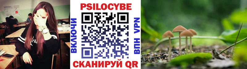 Псилоцибиновые грибы Psilocybine cubensis  Клин 